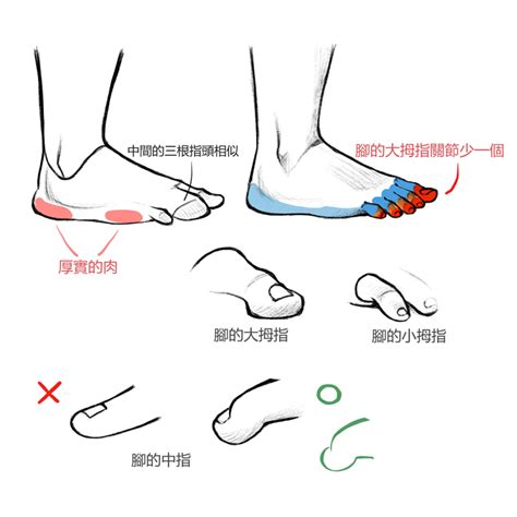 頂腳|頂腳困擾：一擊即中